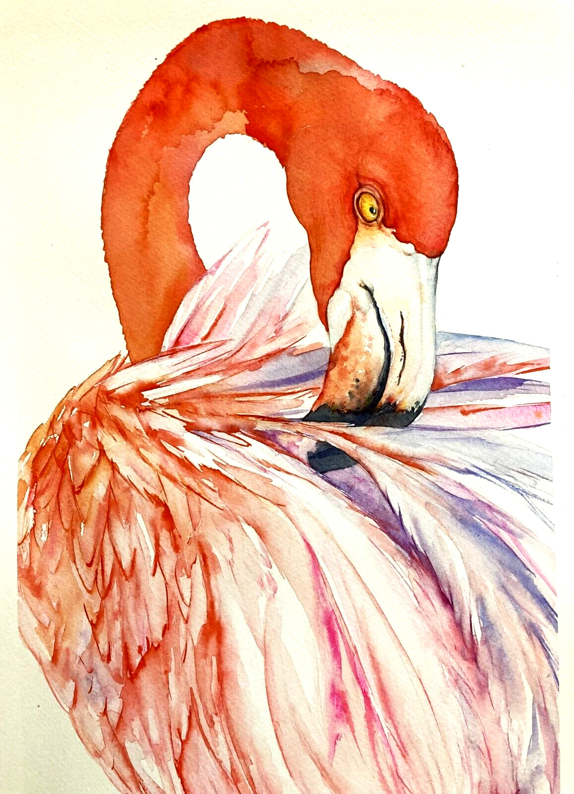 Pink Flamingo – Tropical Bird Art – Watercolor Original Painting – by Liz Altin