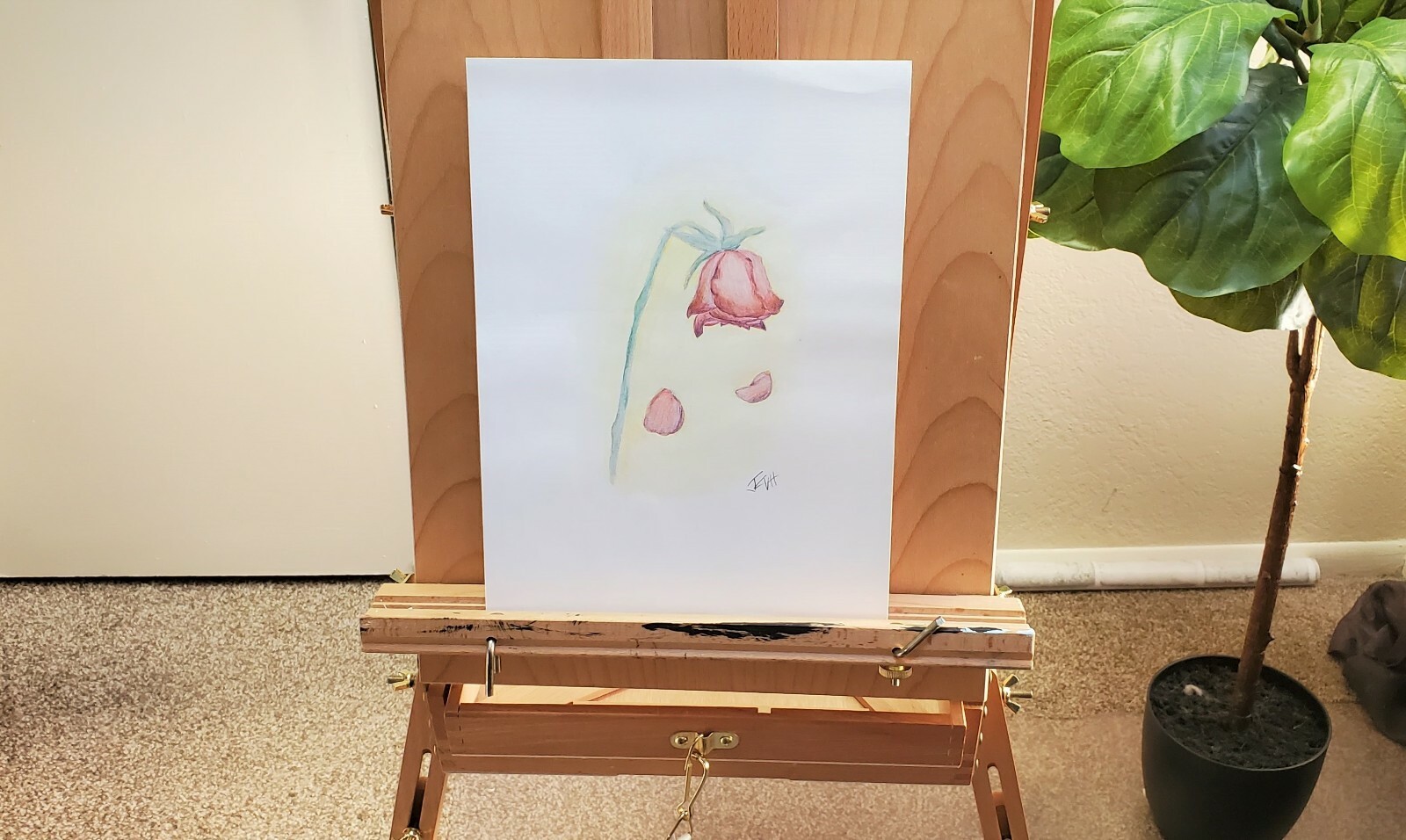 Dying Rose Drawing