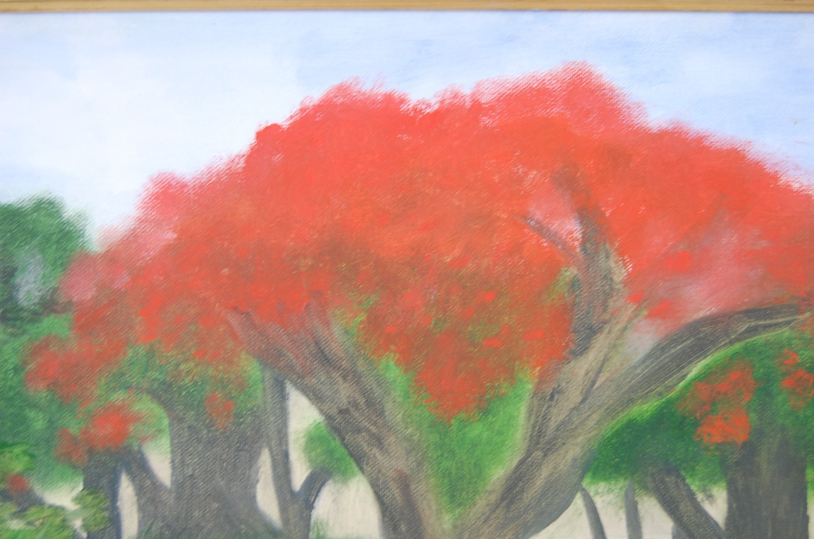 Vtg 80’s Framed Original Oil «Framboyan (Royal Poinciana) Tree Landscape» 20X16
