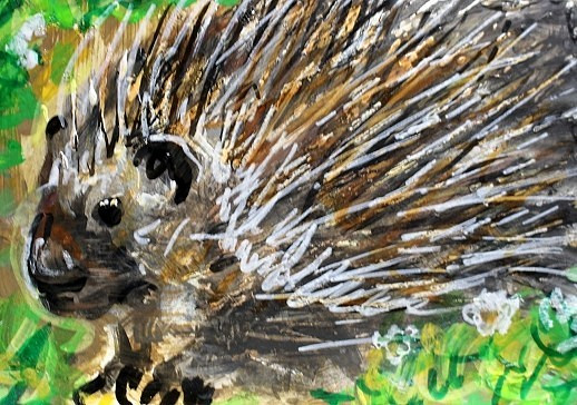 ORIGINAL ACEO Painting PORCUPINE Spring Woodland Animal Quills Nature ATC ART