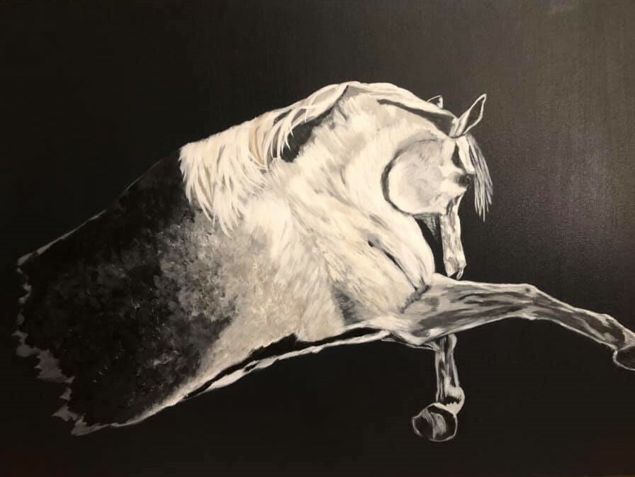 Leah Smith White Horse Black & White 24×28 Original Acrylic Painting