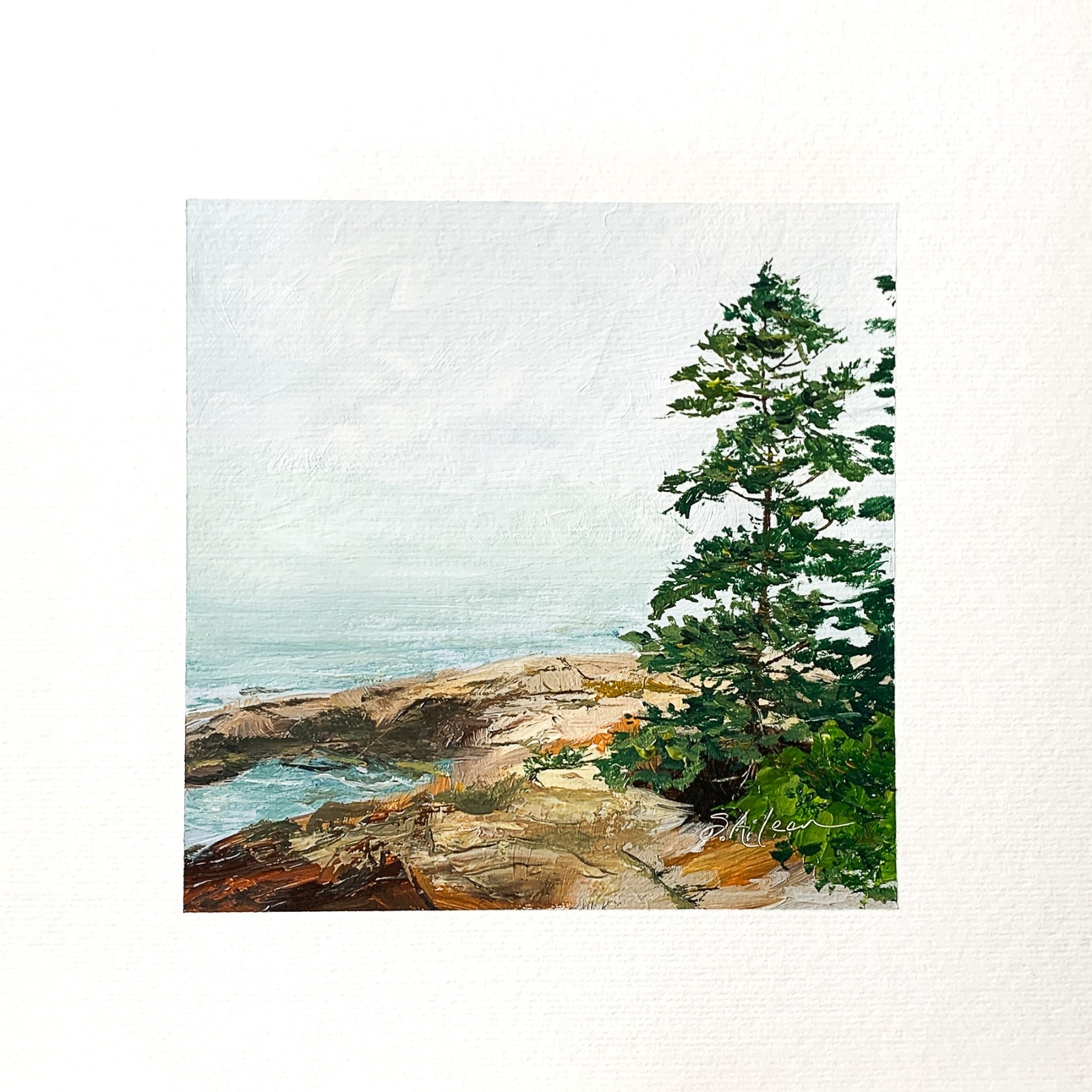 8×8 Maine Original Oil Painting Acadia Landscape New England Pine Coastal Signed
