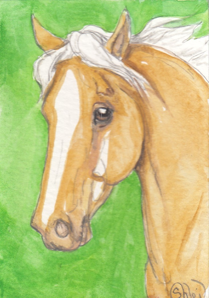 ACEO original Watercolor Art Card HORSE golden champagne Gaited mare on green
