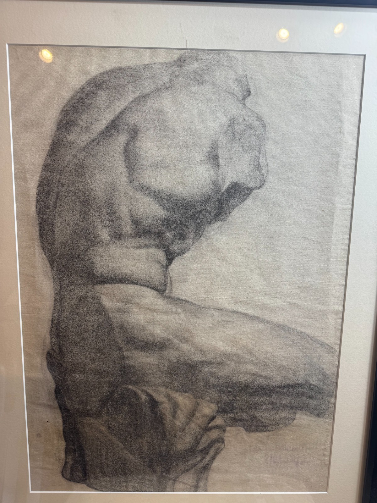 Baltimore School Original Charcoal Anatomical Torso Figure Study Framed Signed