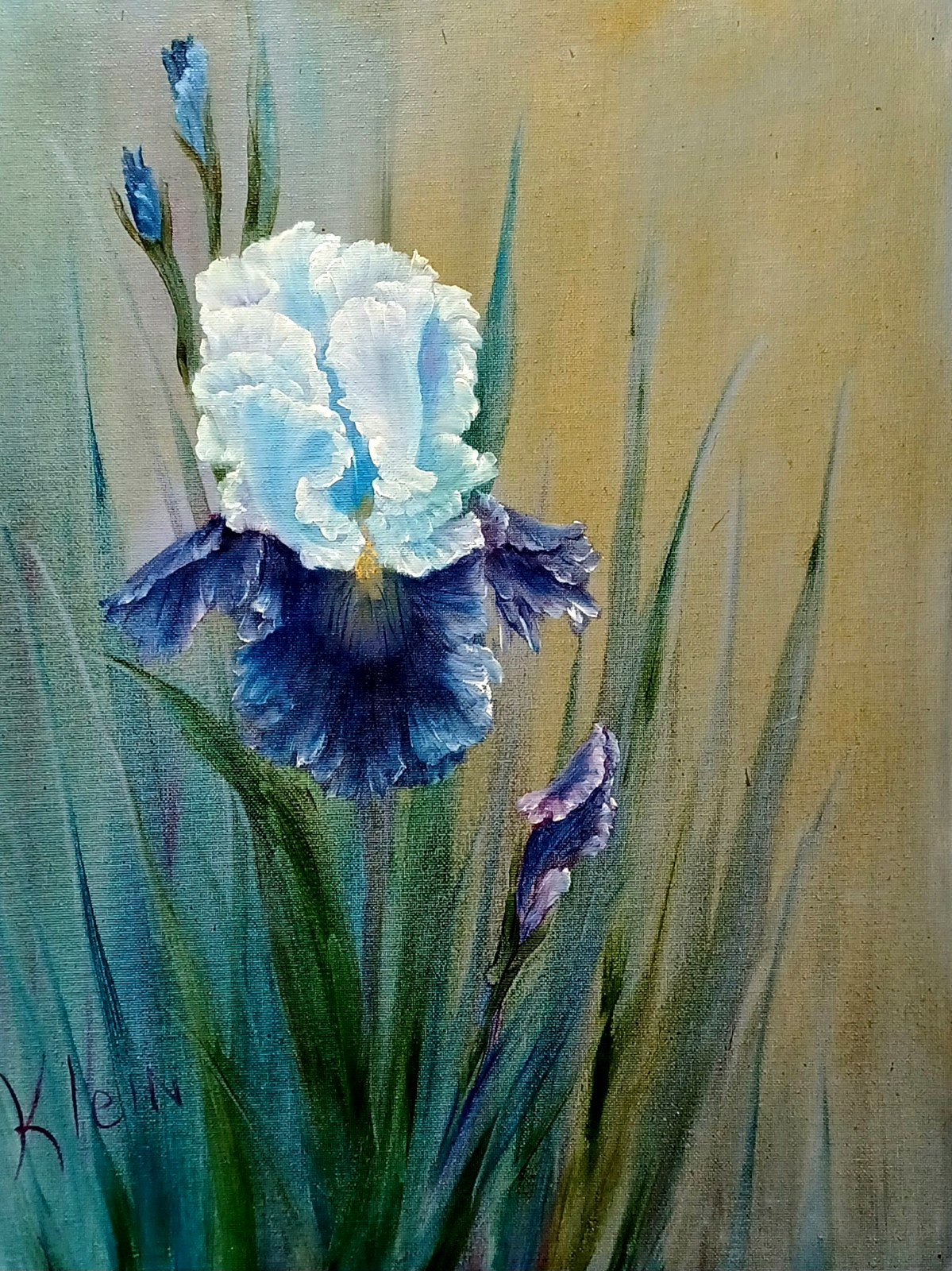 IRISES Former Website Original Floral Oil Painting 16×20 Handmade Artist Klein