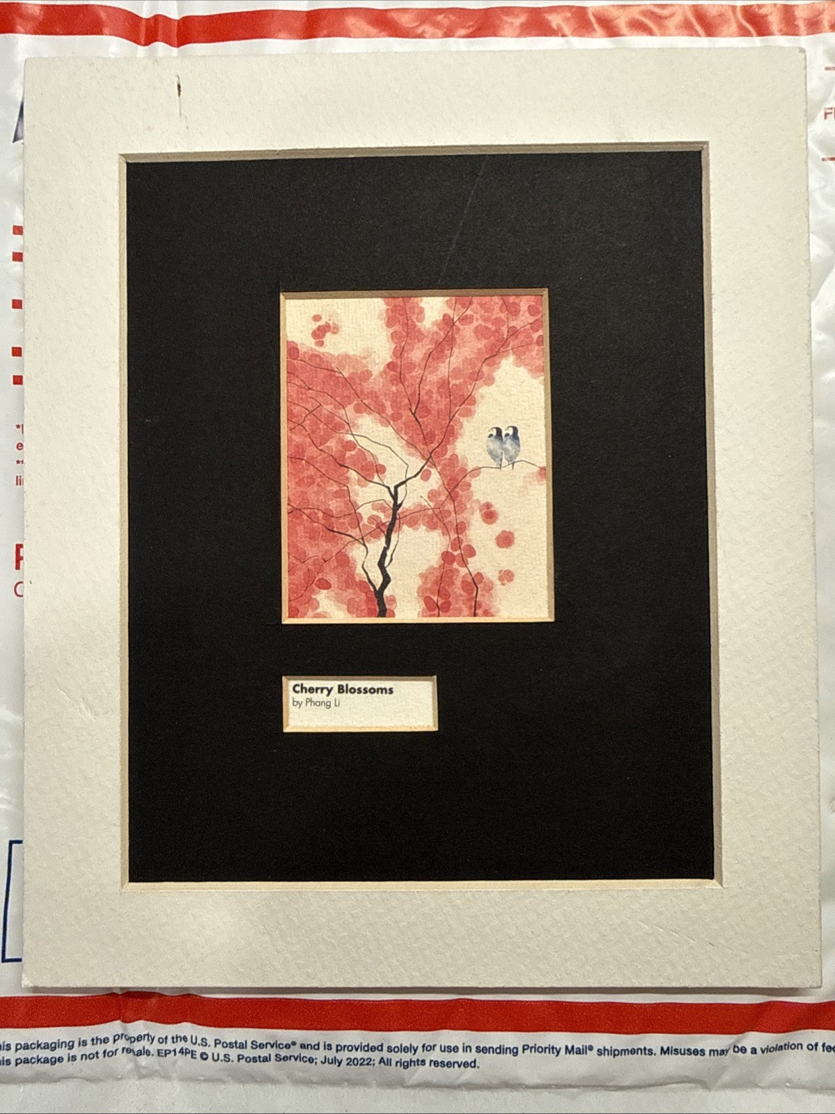 Cherry Blossoms By Phang Li In Good conditions
