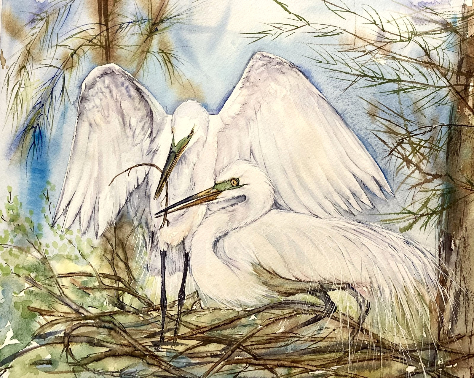 White Egret Bird Great Heron Waterolor Original Painting