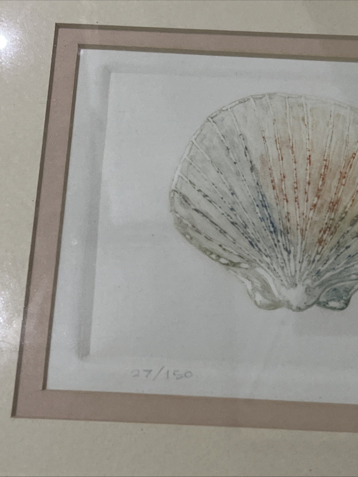 3 Vtg Matted Framed Signed And Dated Embossed Paper With Watercolor Seashells