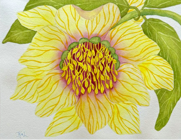 PAINTING WATERCOLOR 11X14 & DOUBLE MAT 16X20 FLOWER HELLEBOREYELLOW MAROON PINK