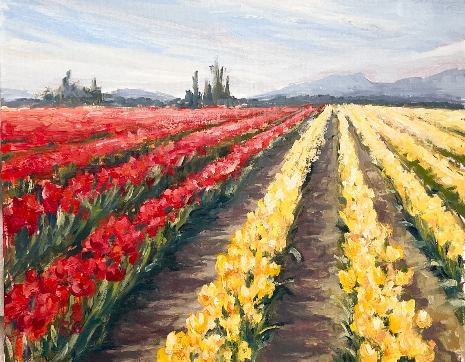 Skygit Valley Tulips Original Oil Painting,WA PNW Landscape Art 8×10”