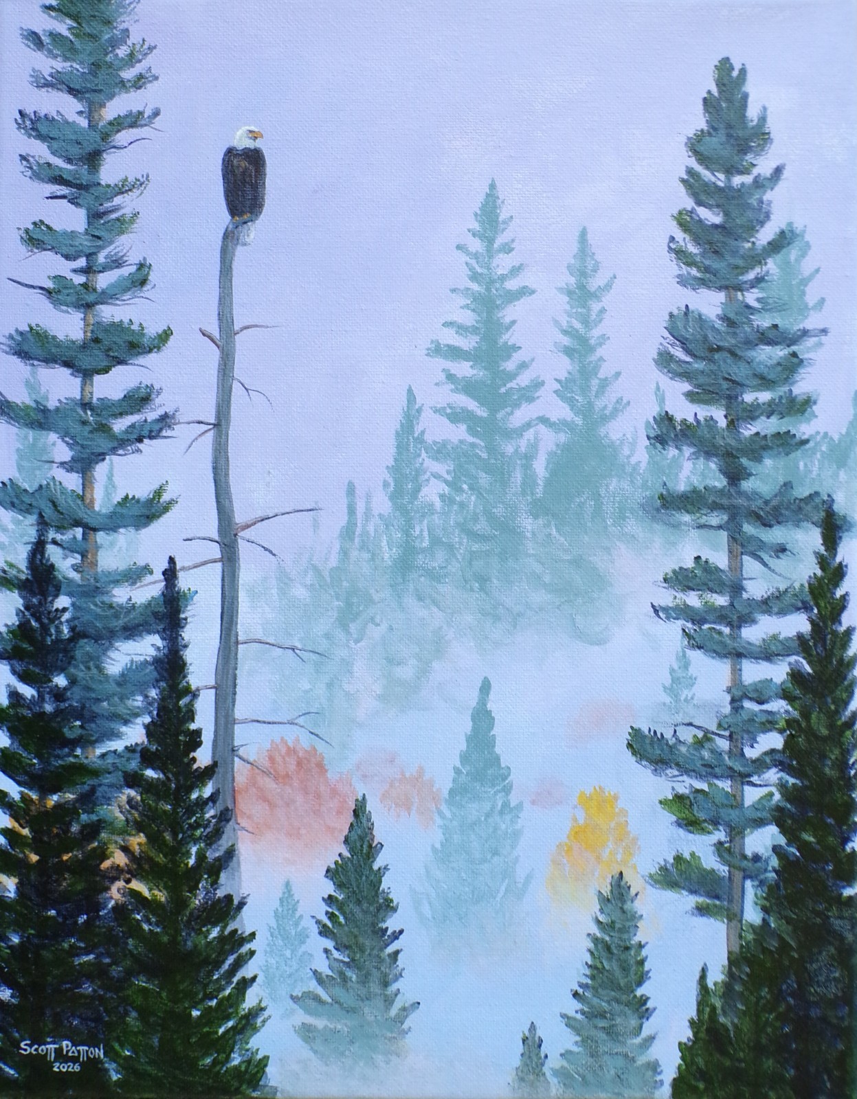 Scott Patton Art: «Forest Sentinel: Bald Eagle» Original North Woods Painting