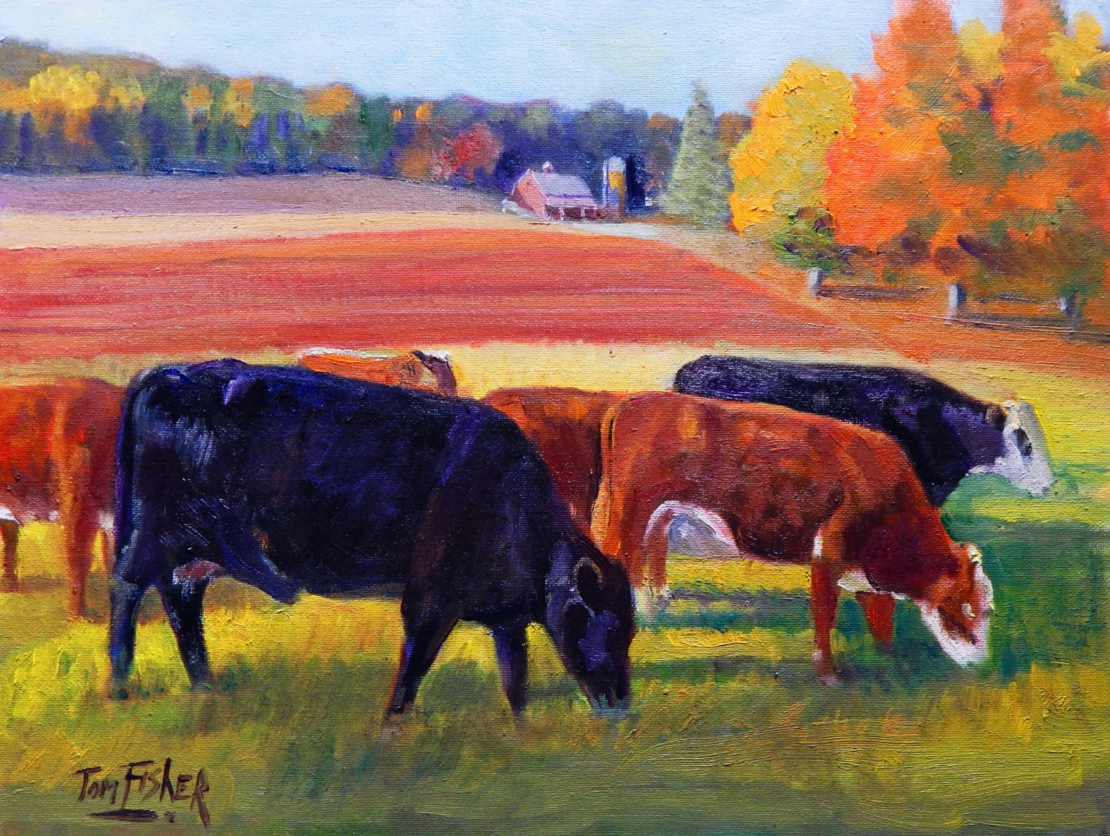 beef cattle grazing realistic Impressionism oil Painting landscape Tom Fisher