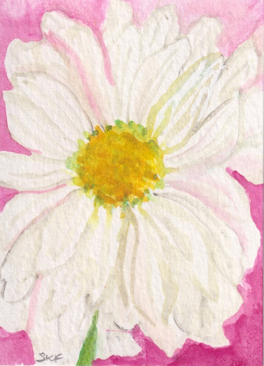 Daisy on Pink ACEO Original White Daisy Watercolor Painting Sharon Foster