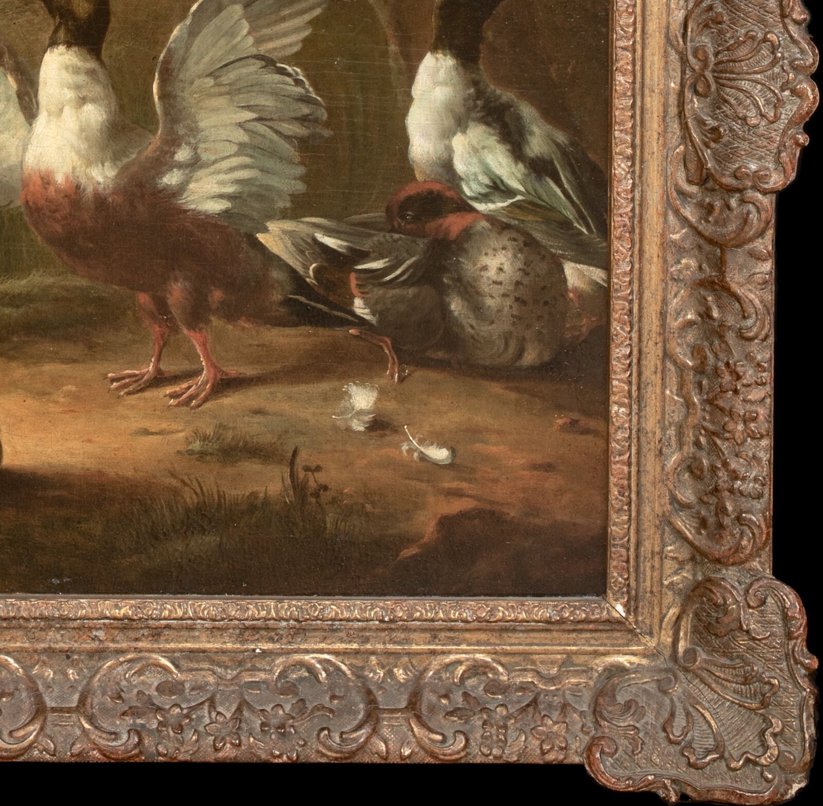 17th Century Ducks Birds Hunting On The River MARMADUKE CRADOCK (1660-1717)