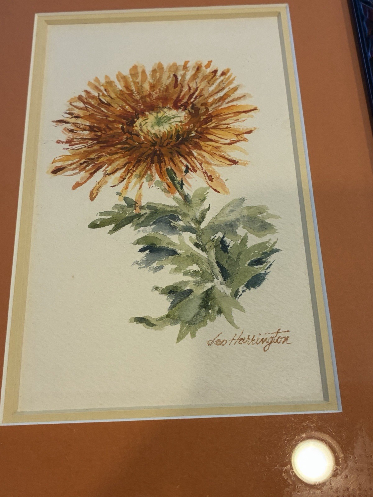 Vtg Signed Watercolor Chrysanthemum Flower Matted & Framed