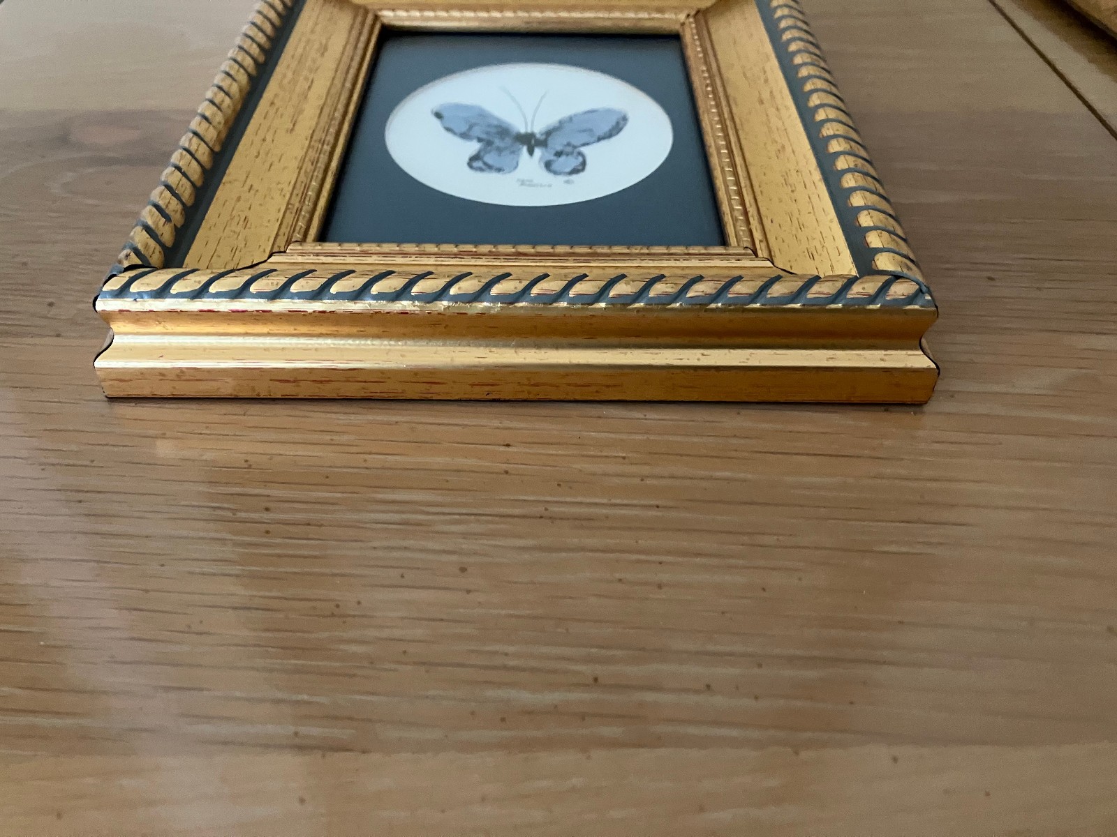 Vtg Orig Watercolor Painting in Updated 4×5 Frame; Butterfly, Carol Morrison