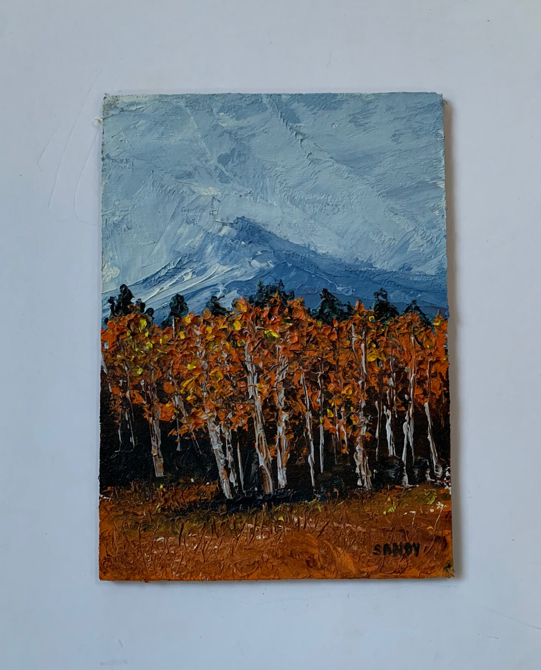 Oil Painting Aspen Tree Grove Mountain Landscape Original By Sandy Heavy Texture