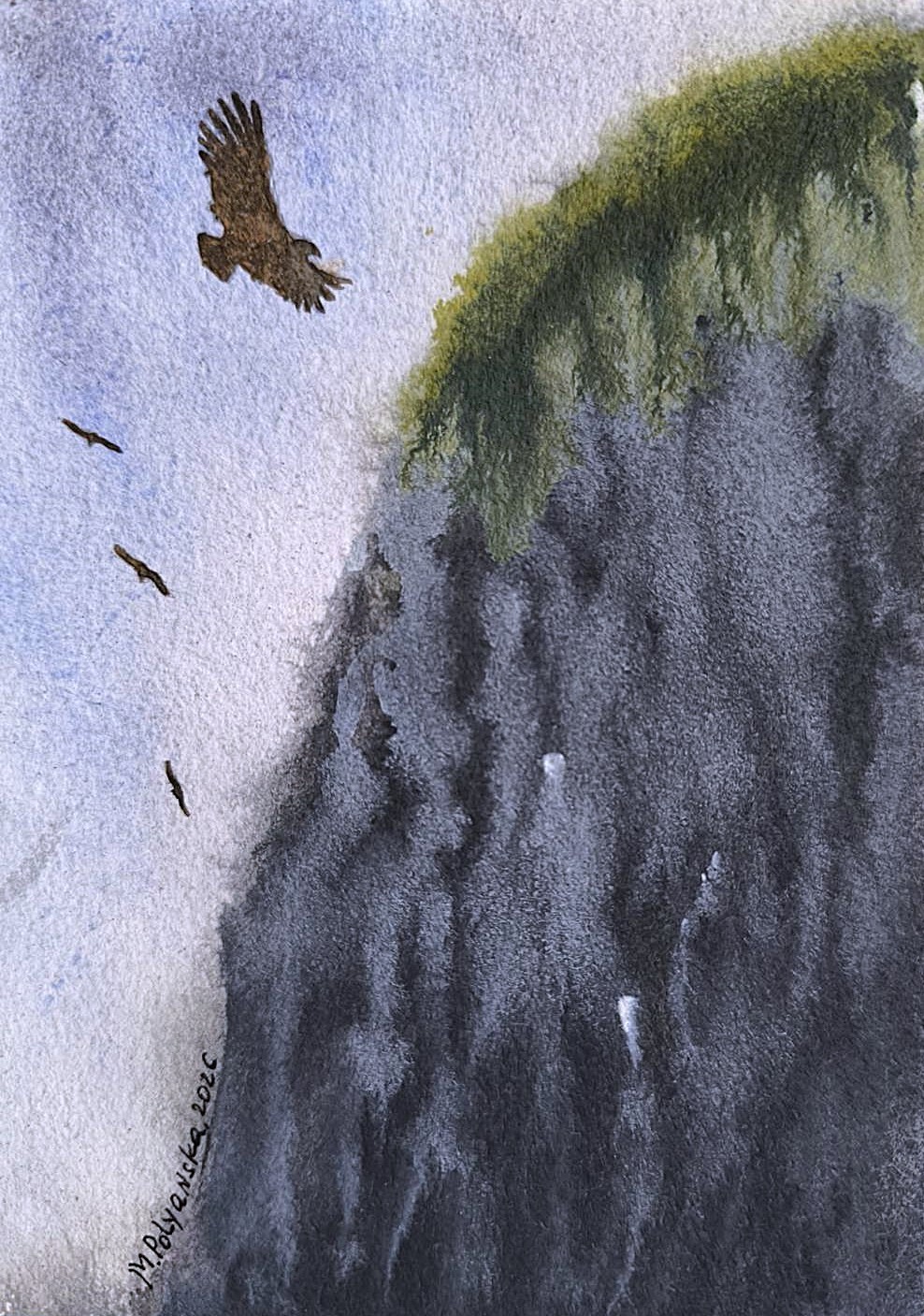 BIRDS EAGLES FLYING MOUNTAIN Original Arts Modern Painting Landscape SKY Gift A5